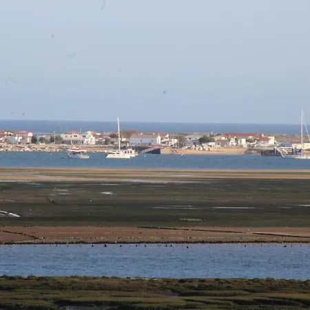 Marina Village